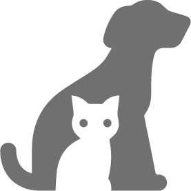 icon cat and dog